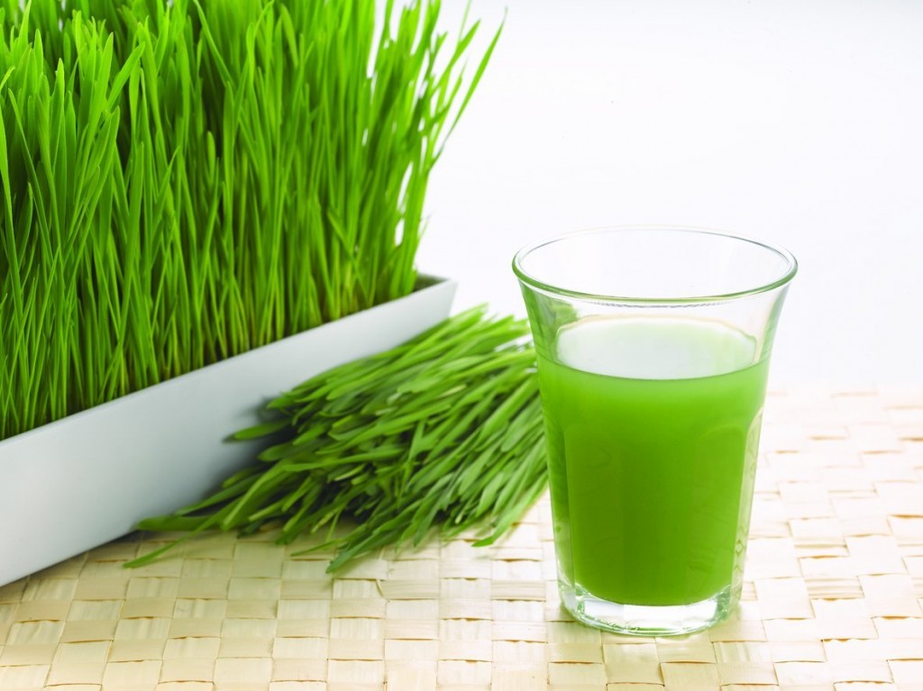 wheatgrass benefits and side effects