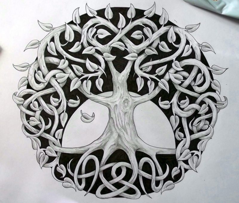 Celtic Tree of Life - Meaning, History & Symbols