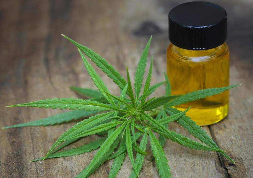 uses of cannabis oil
