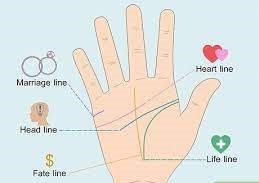 Palmistry Marriage Lines in Hand – A Comprehensive Guide (UPDATED 2022)