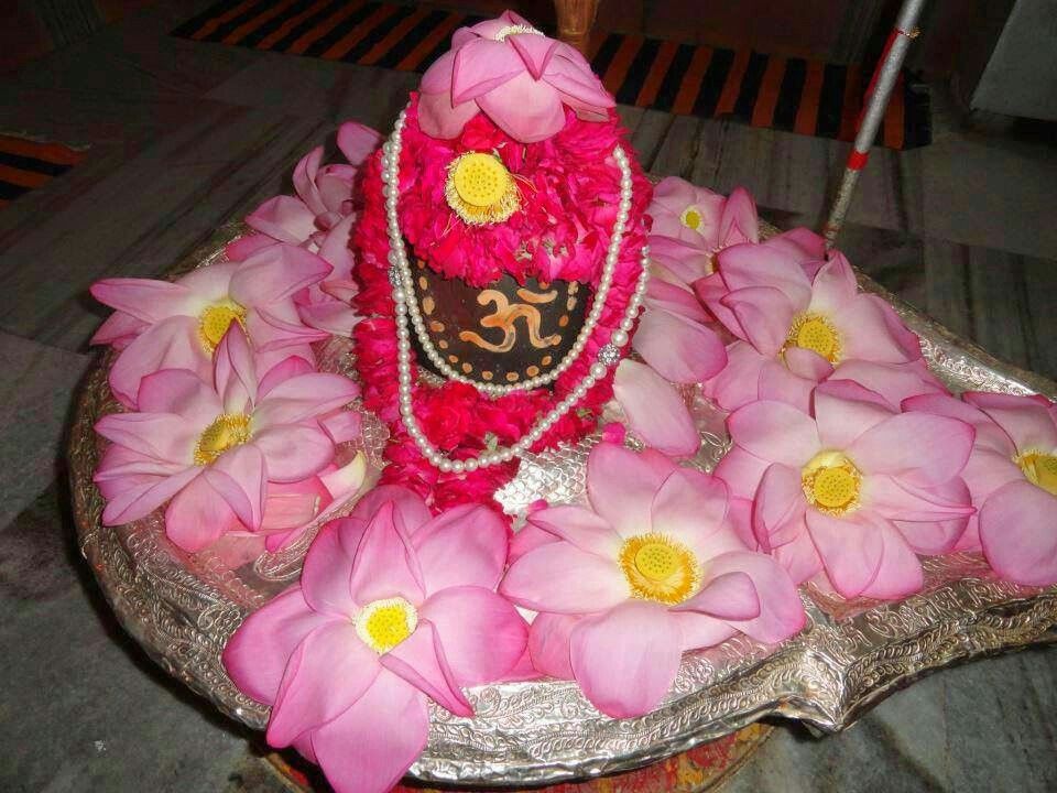 Ashtadalo pariveshtia Lingam